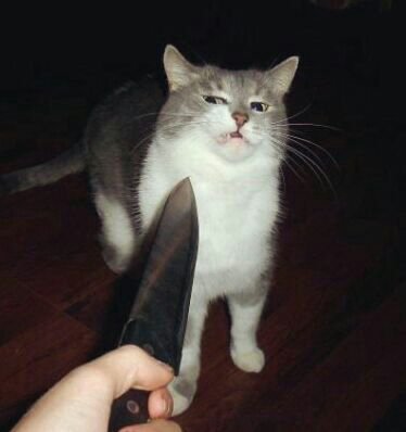 Я