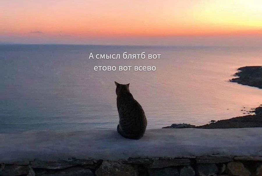 А смысл блятб вот етово вот всево