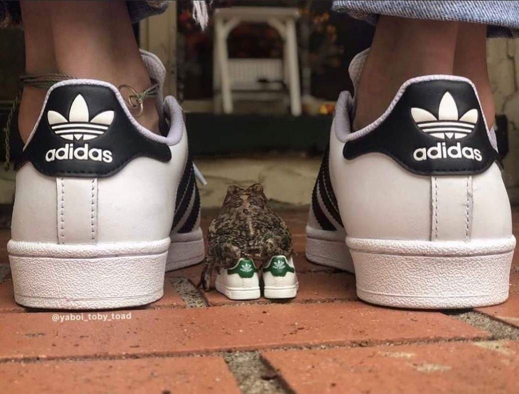 А A A С a adidas adidas a 4. @yaboi_toby_taad у В 4
