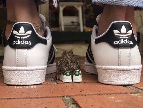 А A A С a adidas adidas a 4. @yaboi_toby_taad у В 4