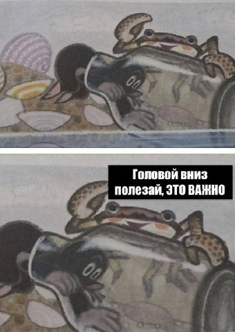 Головой вниз полезай, ЭТО ВАЖНО