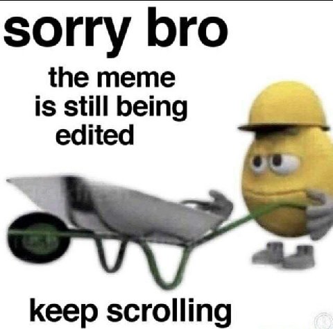 sorry bro the meme is still being edited keep scrolling