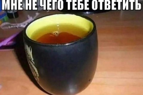 МНЕ НЕ ЧЕГО ТЕБЕ ОТБЕТИТЬ