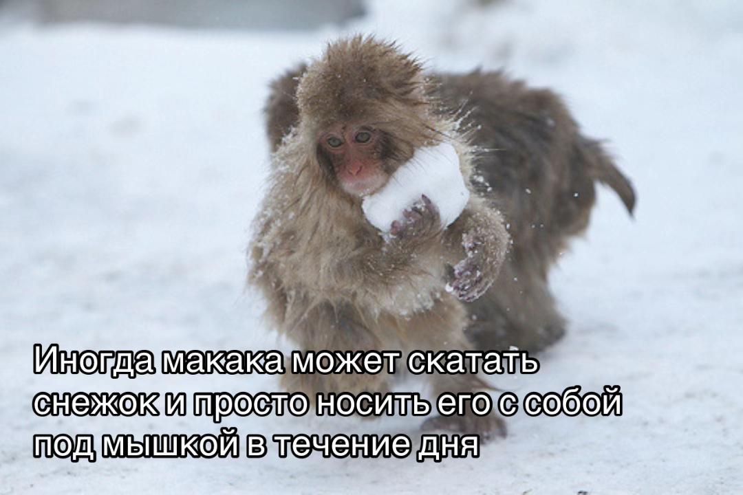 Г Е: Sao и # ; a Fe i t + Ч $ =, by ‚ "`` Инотдамакакаможенскаталь снежоишростоноситыего C собой мышкойвечениедня