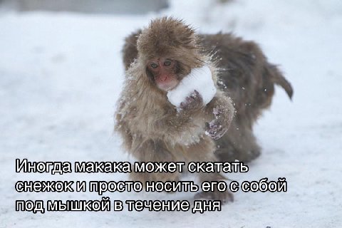 Г Е: Sao и # ; a Fe i t + Ч $ =, by ‚ "`` Инотдамакакаможенскаталь снежоишростоноситыего C собой мышкойвечениедня