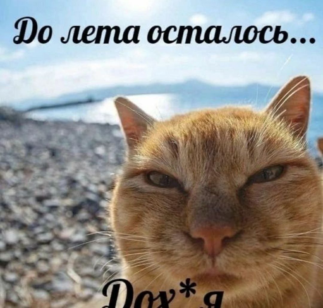 лета осталось...