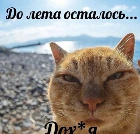 лета осталось...