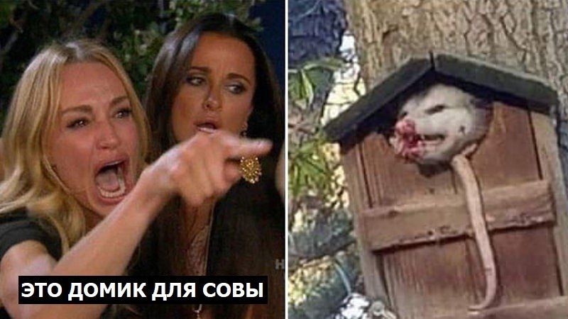 ЭТО ДОМИК ДЛЯ СОВЫ