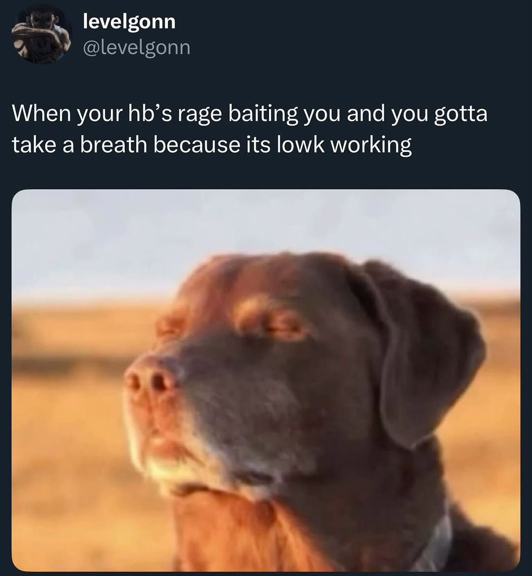 levelgonn @levelgonn When your hb’s rage baiting you and you gotta take a breath because its lowk working