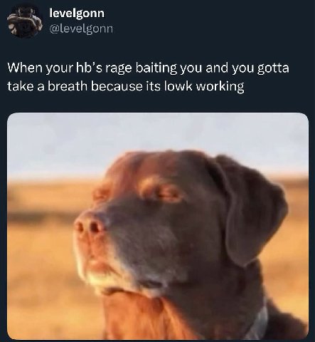 levelgonn @levelgonn When your hb’s rage baiting you and you gotta take a breath because its lowk working