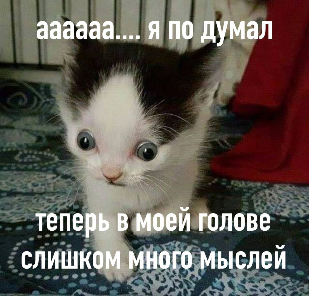 аааааа.... я по думал теперь в моей голове слишком много мыслей