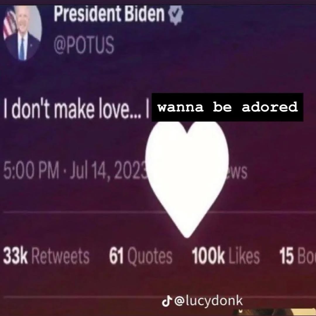 President Biden don't make wanna be adored 61 15 @lucydonk