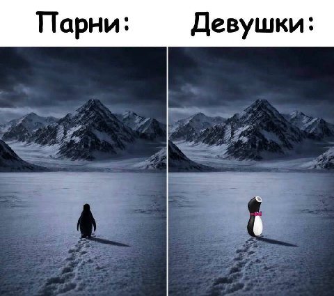 Вот и думайте