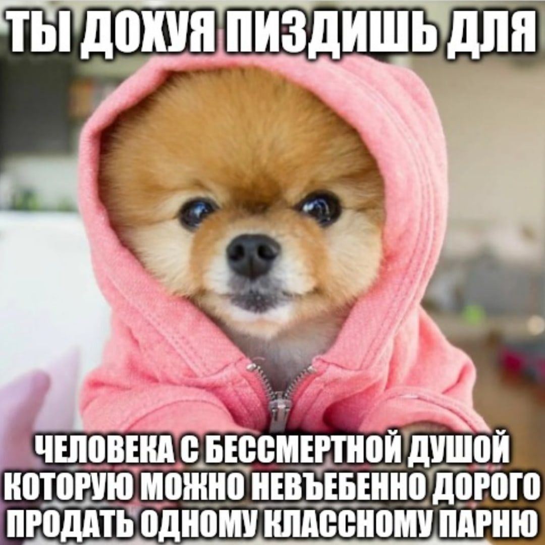 ТЫ ДОХУЯ ПИЗДИШЬ ДЛЯ 3. 9 ЧЕЛОВЕКА С BECCMEPTHOK ДУШОЙ КОТОРУЮ МОЖНО НЕВЪЕБЕННО ДОРОГО ПРОДАТЬ ОДНОМУ КЛАССНОМУ ПАРНЮ