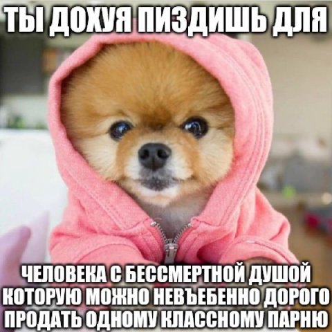 ТЫ ДОХУЯ ПИЗДИШЬ ДЛЯ 3. 9 ЧЕЛОВЕКА С BECCMEPTHOK ДУШОЙ КОТОРУЮ МОЖНО НЕВЪЕБЕННО ДОРОГО ПРОДАТЬ ОДНОМУ КЛАССНОМУ ПАРНЮ