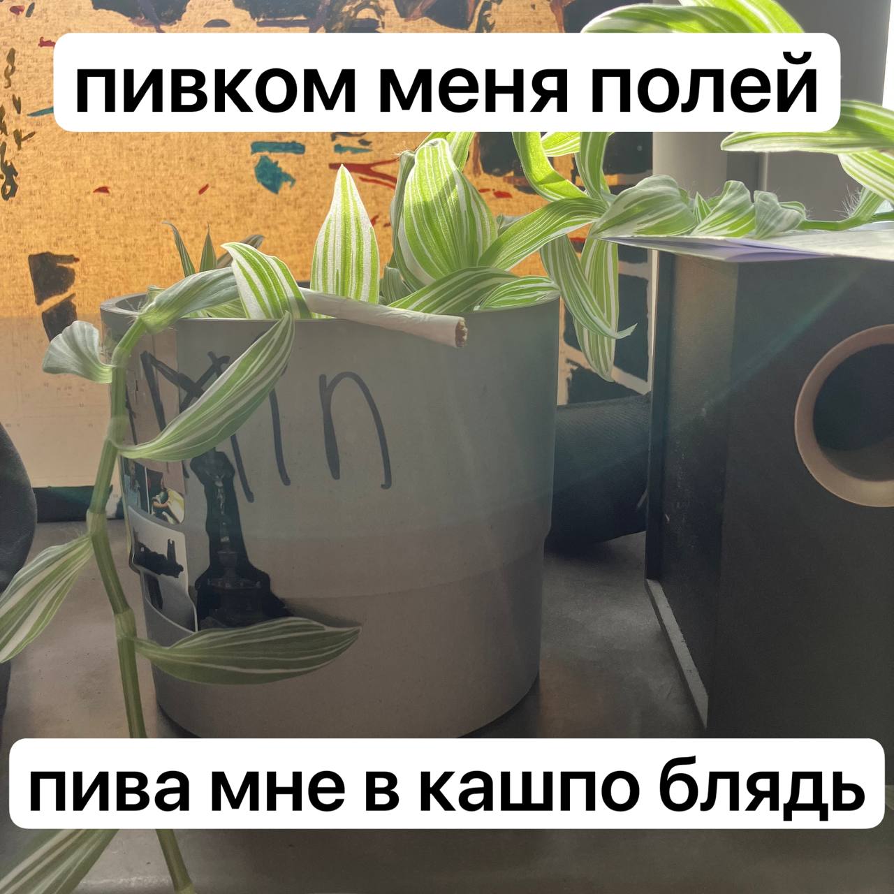 пивком меня полей пива мне в кашпо блядь