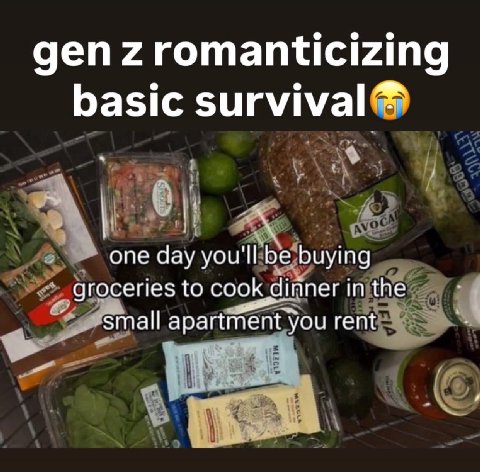 деп zromanticizing basic survival опе day you'll be buying groceries to cook dinner in the apartment you rent