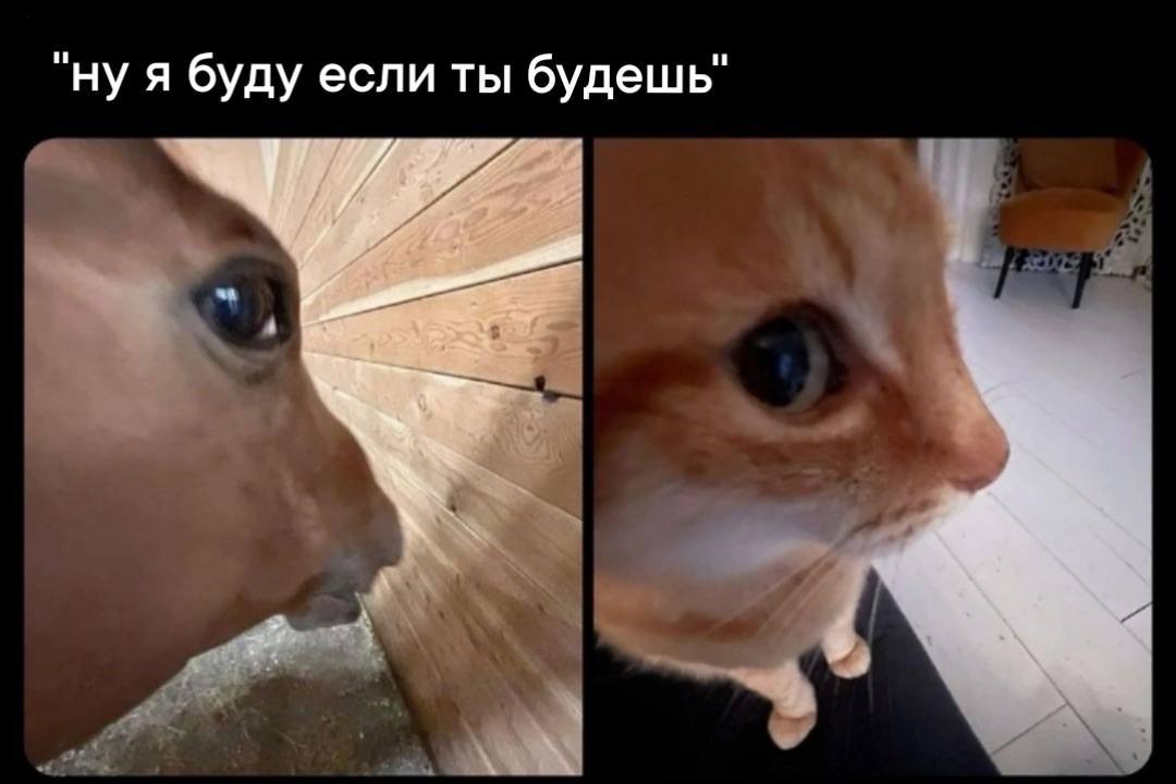 ну я буду если ты будешь