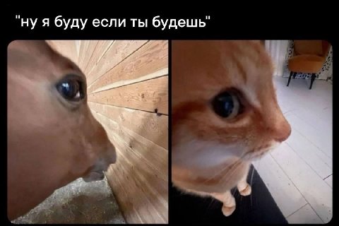 ну я буду если ты будешь