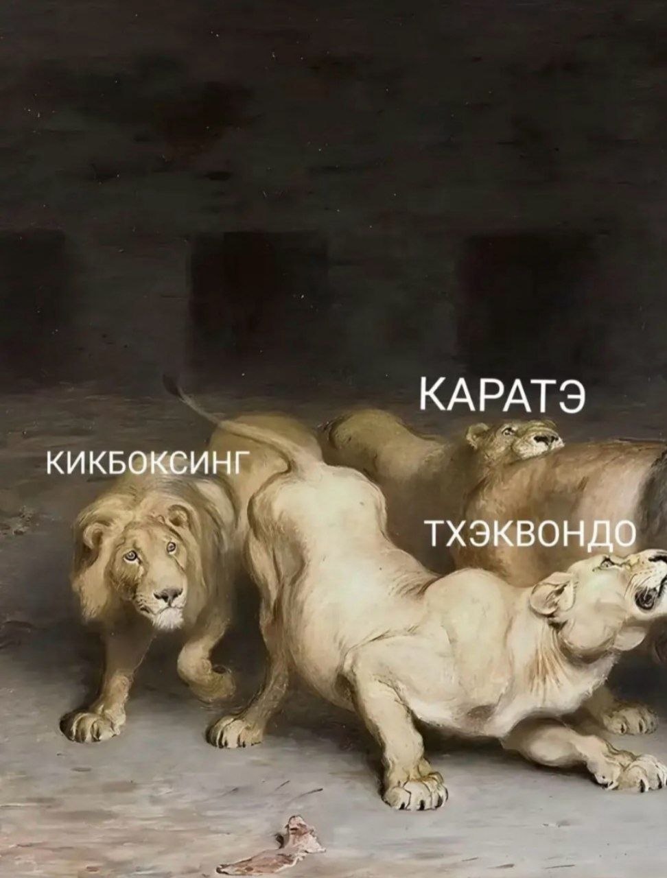 КАРАТЭ КИКБОКСИНГ ТХЭКВОНДО.