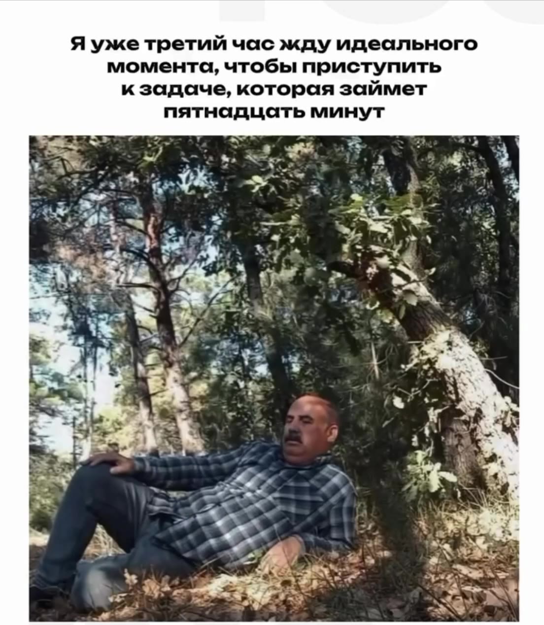 момента, чтобы приступить к задаче, которая займет пятнадцать минут