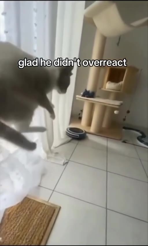 оачтета! тие иг gladihe didngtfoverreact