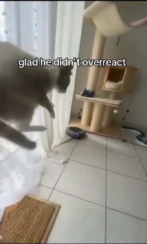 оачтета! тие иг gladihe didngtfoverreact