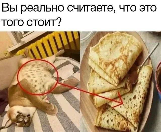 Вы реально считаете, что это ТОГО СТОИТ? 4 4