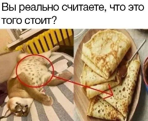 Вы реально считаете, что это ТОГО СТОИТ? 4 4