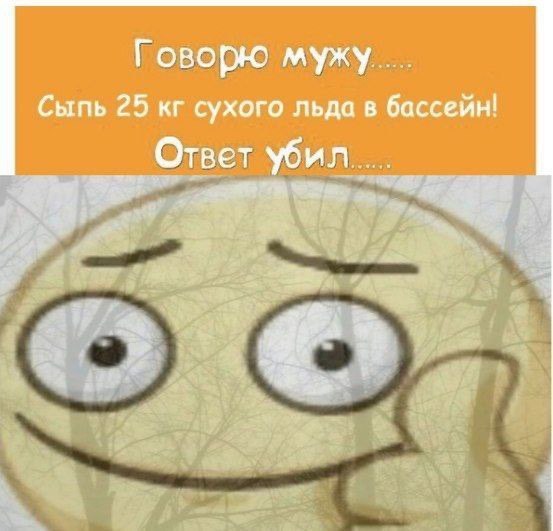 Говорю мужу Сыпь 25 сухого льда в бассейн! Ответ убил