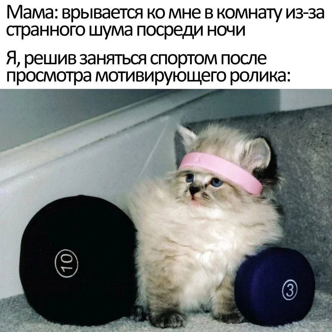 Мама: врывается мне в комнату из-за странного шума посреди ночи Я, решив заняться спортом после просмотра мотивирующего ролика: 4 iF 4 4