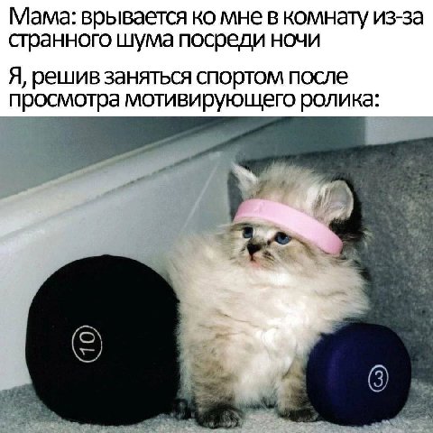 Мама: врывается мне в комнату из-за странного шума посреди ночи Я, решив заняться спортом после просмотра мотивирующего ролика: 4 iF 4 4