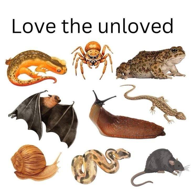 Love the unloved