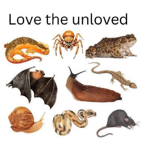 Love the unloved