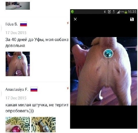 16:35 a За 40 дней до Уфы, моя собака довольна Anastasiya какая милая штучка, не терпит опробовать)))