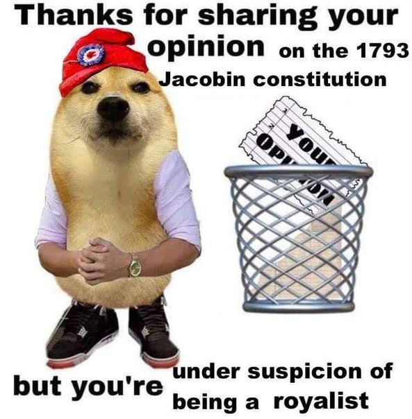 Thanks for sharing your Opinion on the 1793 Jacobin constitution 7 A nder suspicion of but you're being a royalist