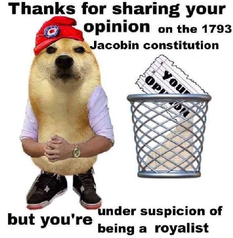 Thanks for sharing your Opinion on the 1793 Jacobin constitution 7 A nder suspicion of but you're being a royalist
