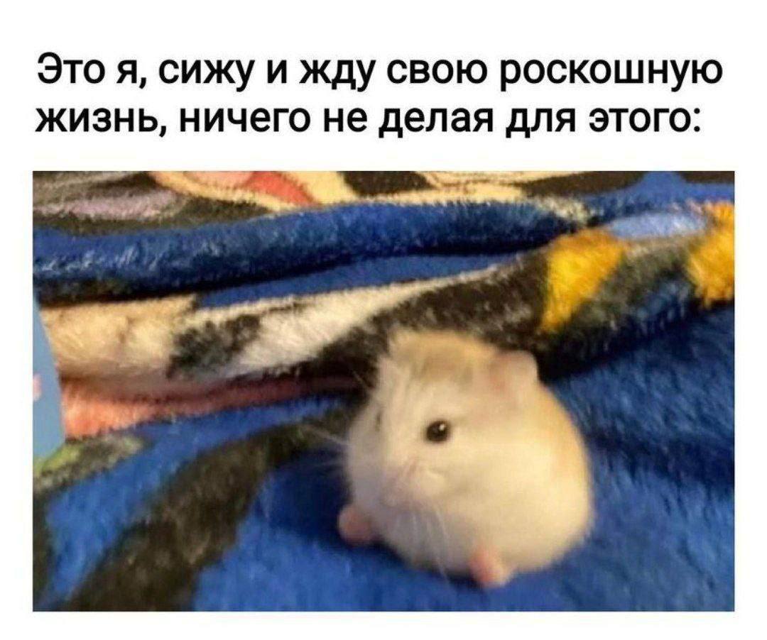 Это я, сижу и жду свою роскошную жизнь, ничего не делая для этого: