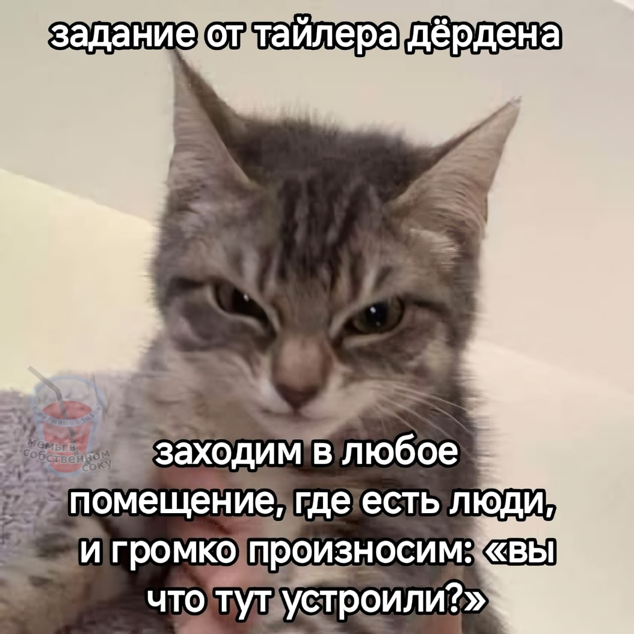 заходим в любое люди и громко) произносим: