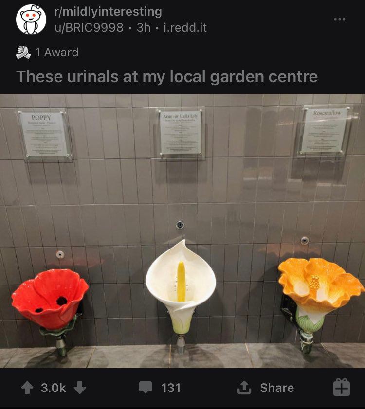 r/mildlyinteresting u/BRIC9998 i.redd.it 1 Award These urinals at my local garden centre if 4 3.0к 131 Share