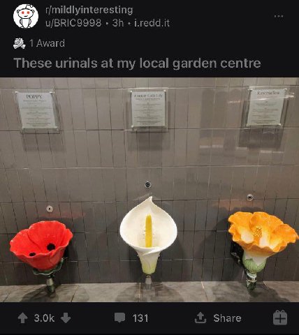 r/mildlyinteresting u/BRIC9998 i.redd.it 1 Award These urinals at my local garden centre if 4 3.0к 131 Share