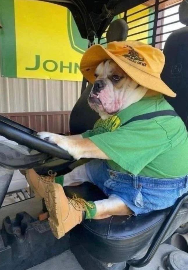 omw
