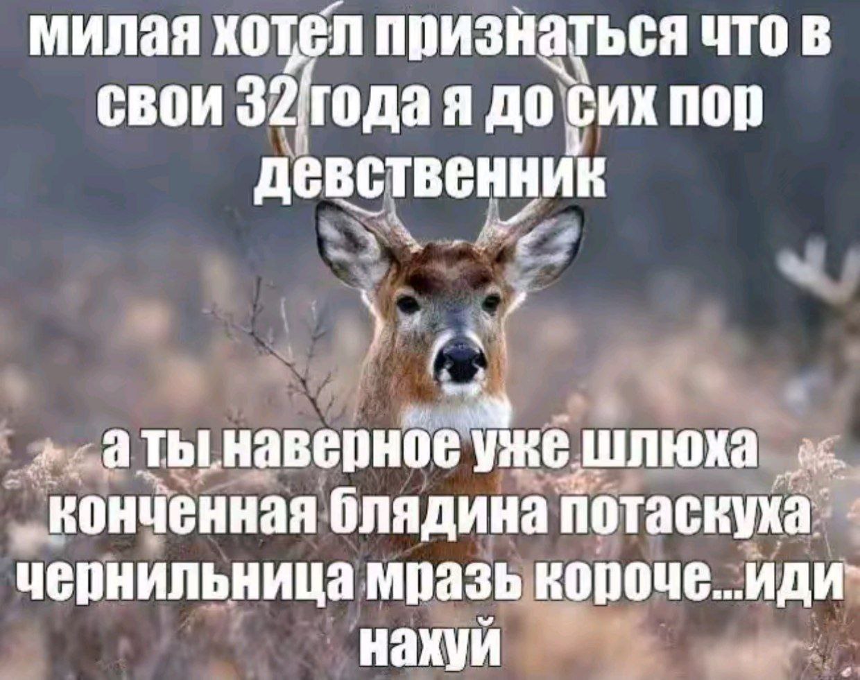милая хотел признаться что В свои 32тода я до сих пор девственник ‚наверное уже. шлюха конченная блядина потаскука: чернильница мразь короче. wae нахуй