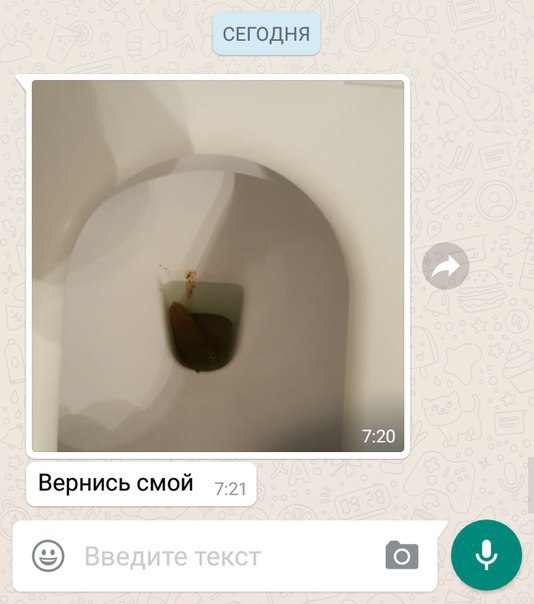 СЕГОДНЯ 7:20 Вернись смой 7.1