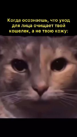 Когда осознаешь, что уход для лица очищает твой кошелек, а не твою кожу: