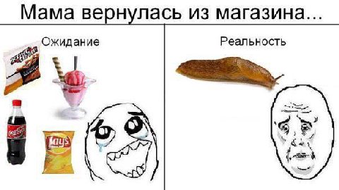 Мама вернулась из магазина... Ожидание Реальность