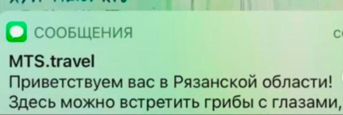 узо сооБЩЕНИЯ MTS.travel Приветствуем вас в Рязанской области! Здесь можно встретить грибы с глазами,