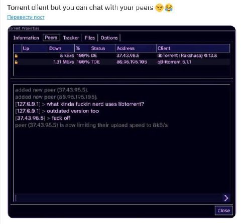 Torrent client but you can chat with your peers Перевести пост