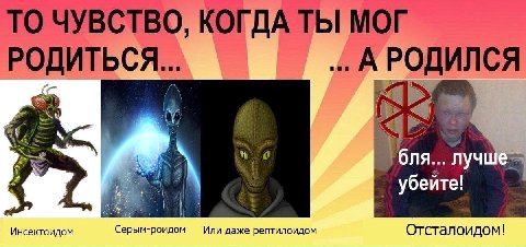 ТО ЧУВСТВО, КОГДА ТЫ МОГ РОДИТЬСЯ... А РОДИЛСЯ убейте! 4 Инсектоидом Серым-роидом Или даже рептилоидом Отсталоидом!