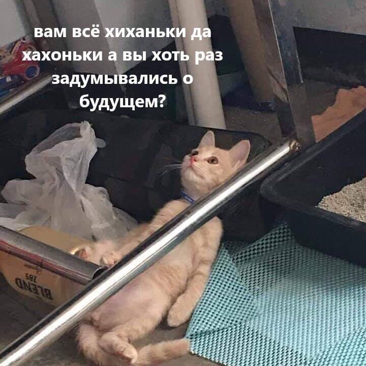 вам всё хиханьки да хахоньки а вы хоть раз задумывались о будущем? #7; НА 77 АНИ 7:2 ВАНА res 2;